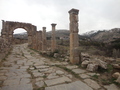 DSC06429.JPG
