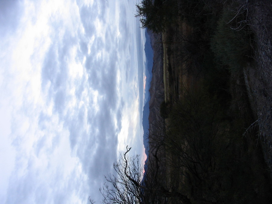 img_0935.jpg