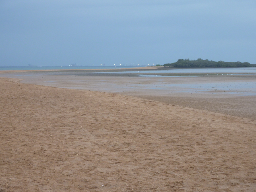 p1000938.jpg