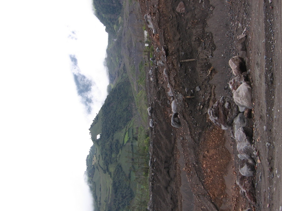 img_4513.jpg