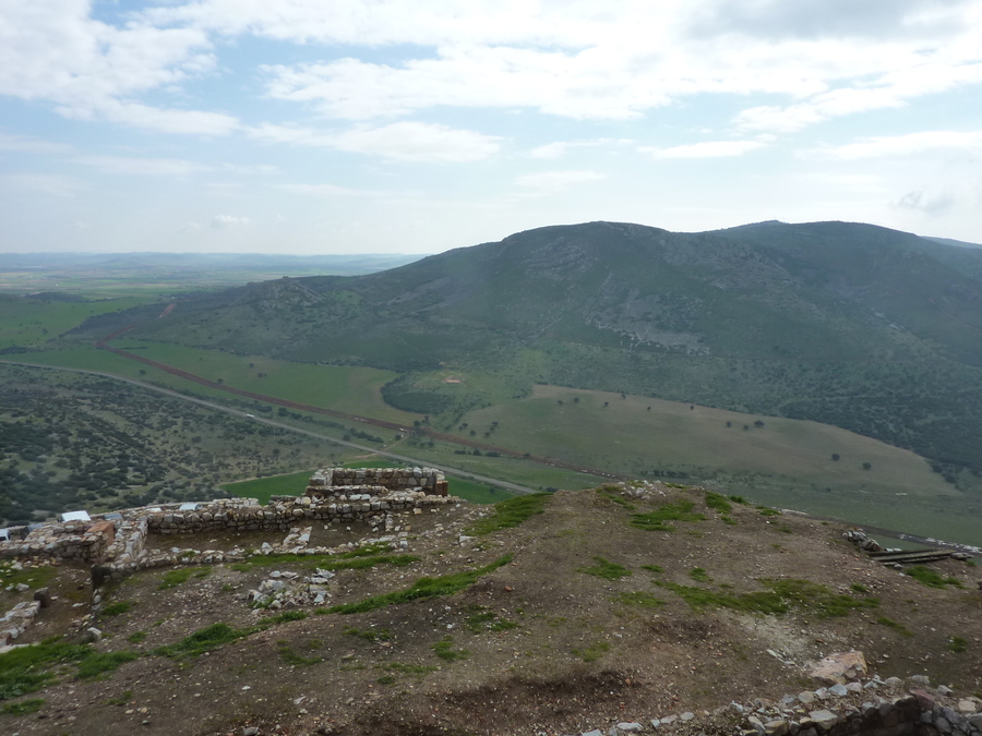 p1010790.jpg