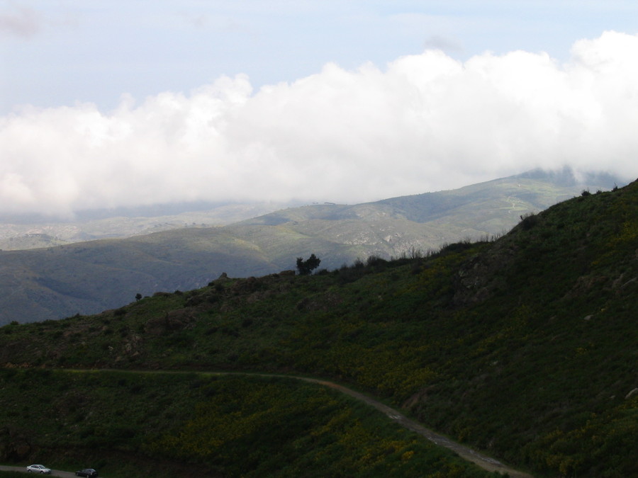 img_0739.jpg