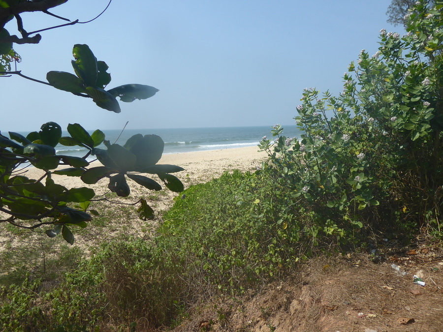 P1010691.JPG