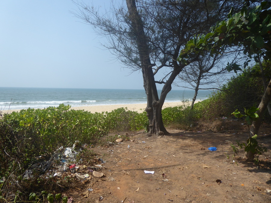 P1010694.JPG