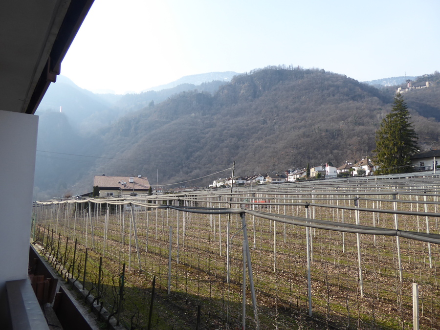 P1010697.JPG