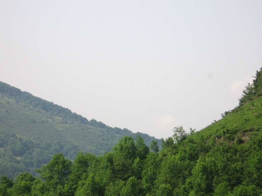 img_5863.jpg