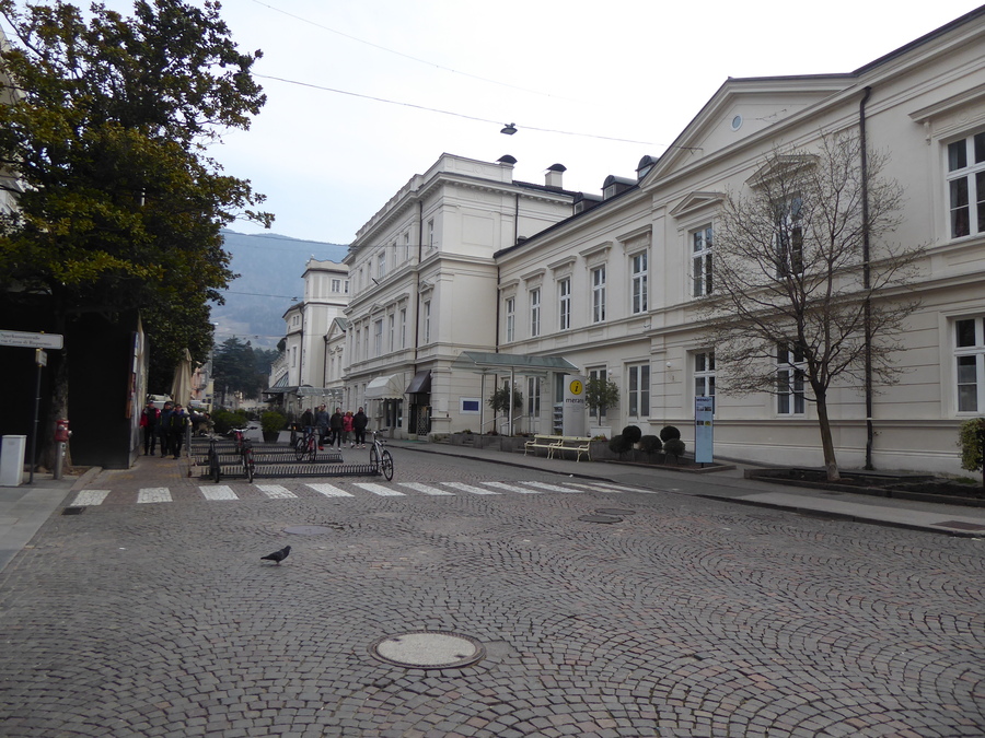 P1010715.JPG