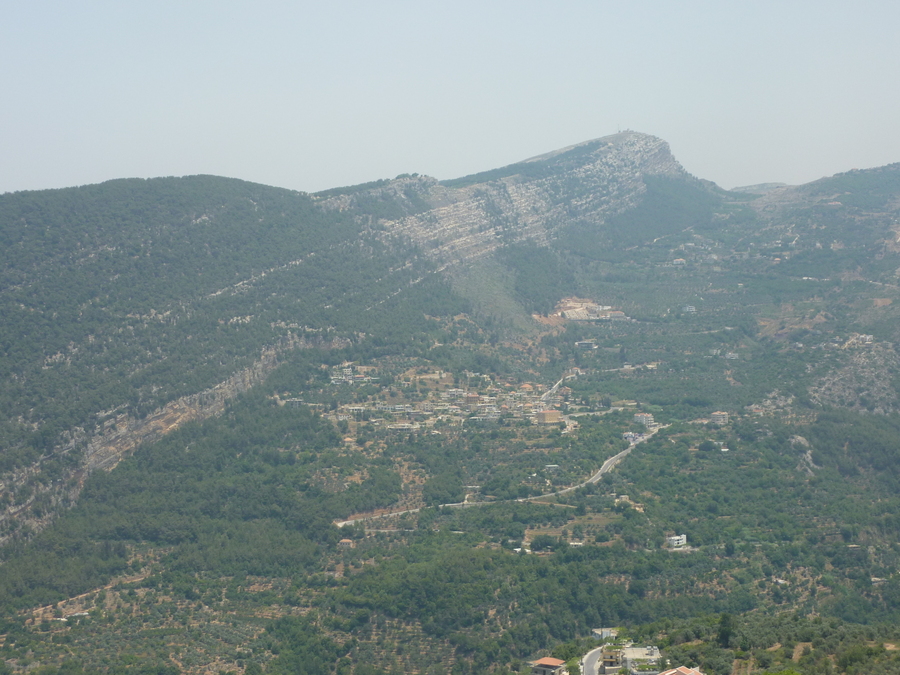 p1000664.jpg