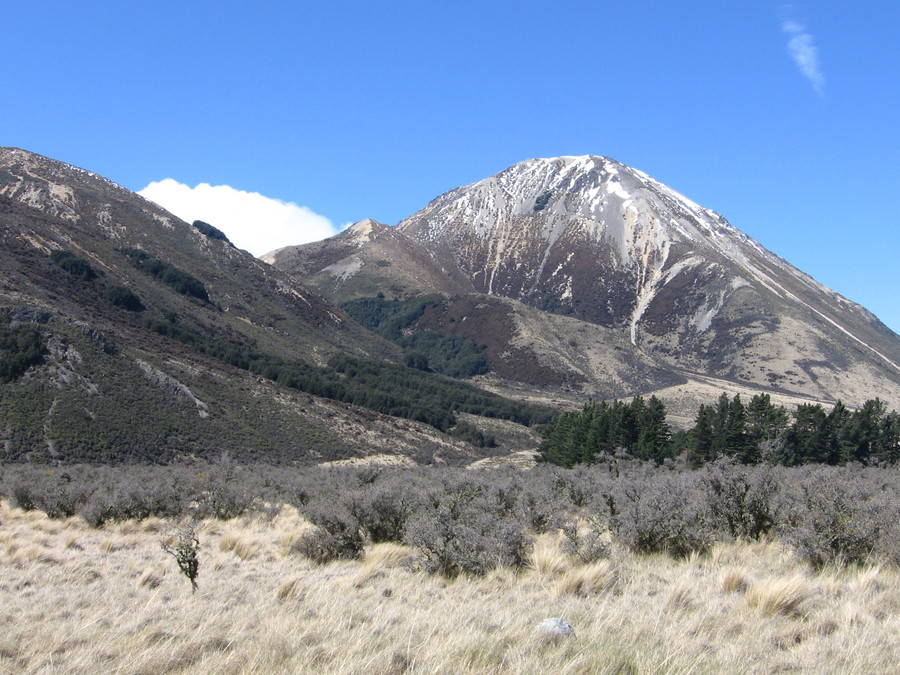 img_8746.jpg