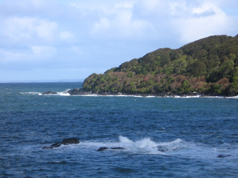 img_6213.jpg