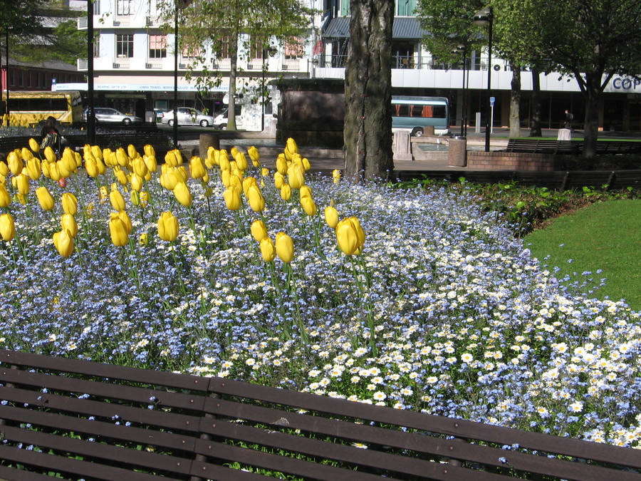 img_8636.jpg