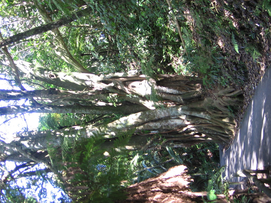 img_8396.jpg
