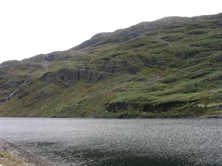 img_1294.jpg