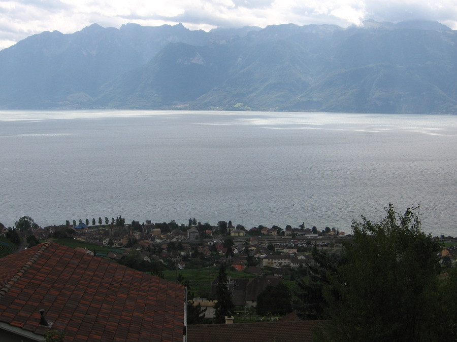 img_7884.jpg