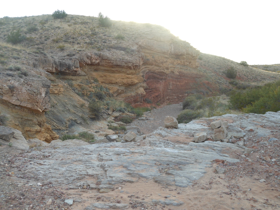 DSCN3524.JPG