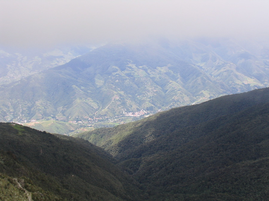 img_1219.jpg